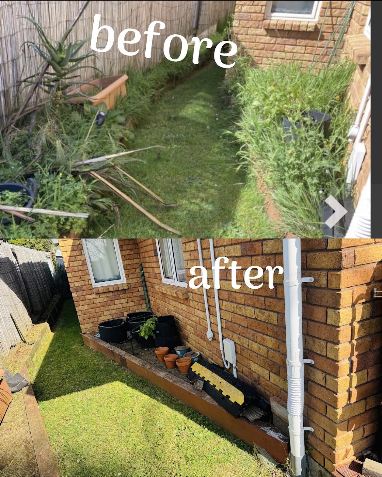 Side yard cleanup