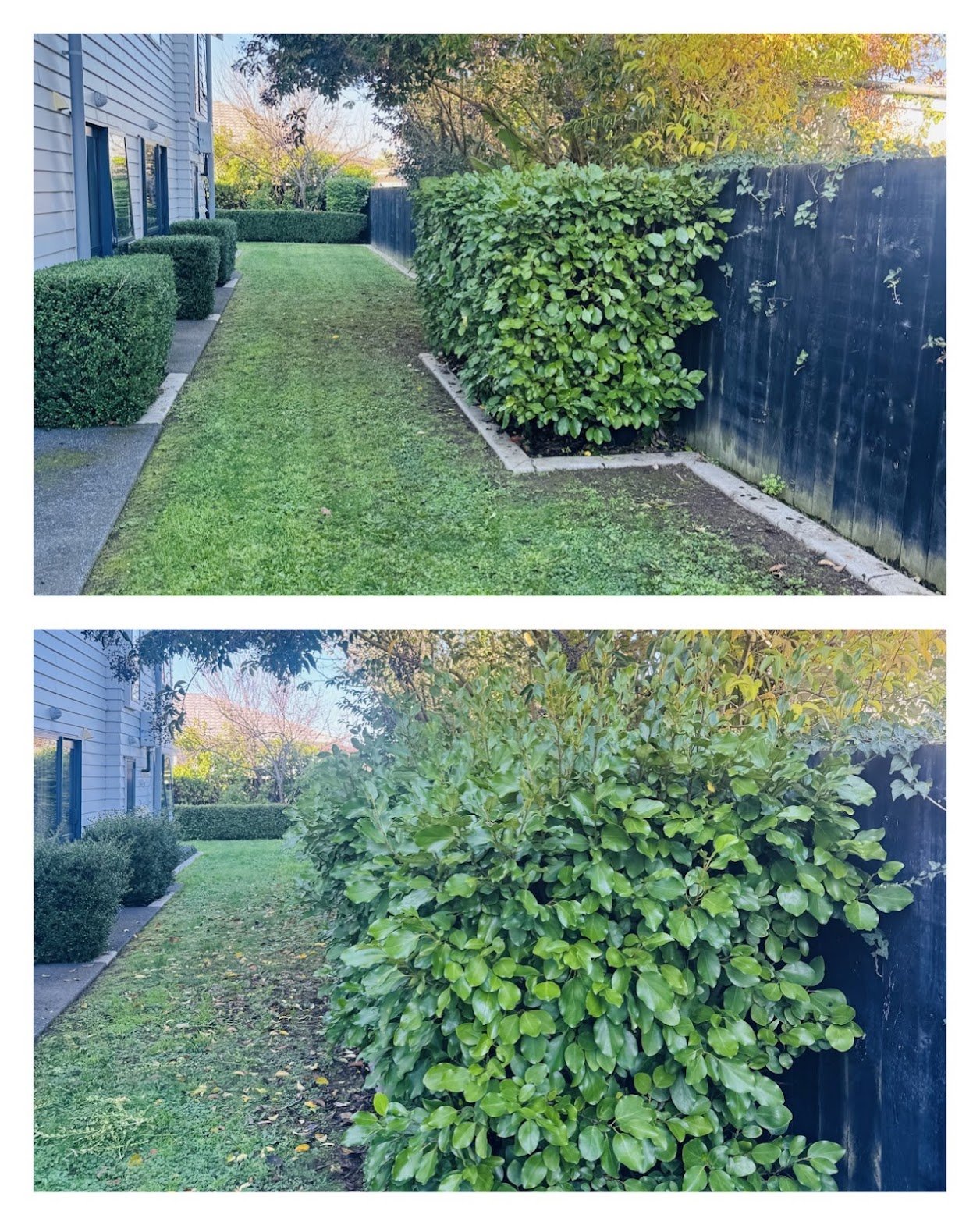 Sharp hedges & fresh lawn
