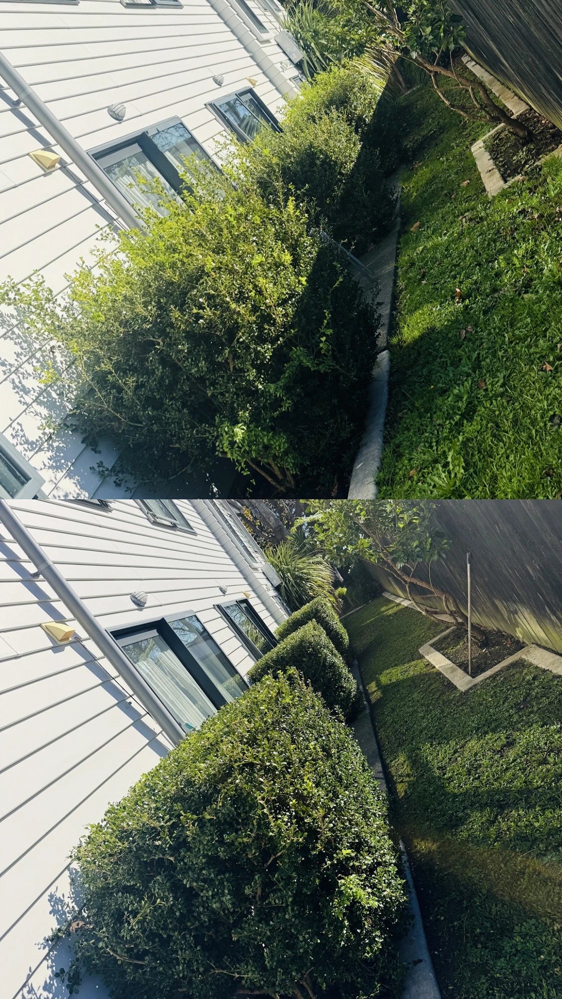 Complete yard revival